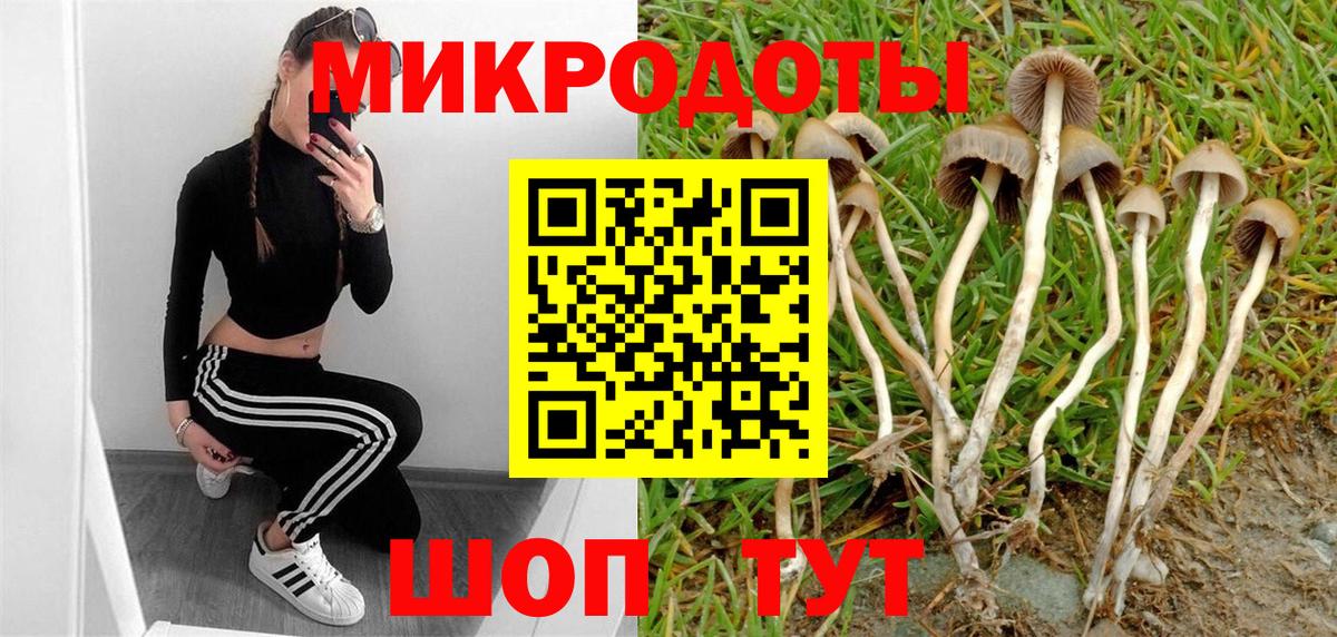 Галлюциногенные грибы ЛСД  Вход с VPN  Бахчисарай 