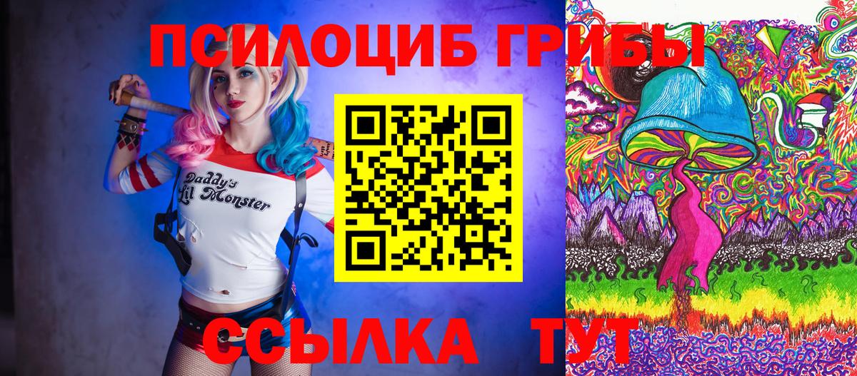 Псилоцибиновые грибы Psilocybe Бахчисарай